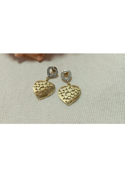 Çelik Kalpli Küpe fiyatları