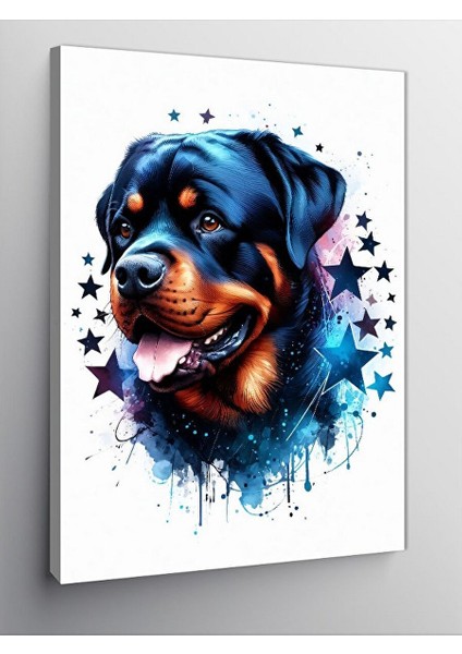 Kanvas Tablo Yıldızlar ve Köpek