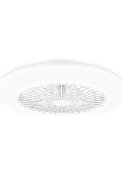 Amigo Flat Fan Ceiling Ir Rd 25W+60W Wh
