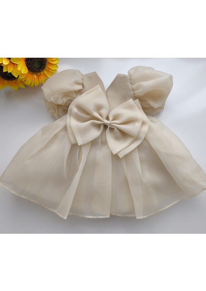 Sindirella Incili Kemer Detaylı Fiyonklu Kız Çocuk Elbise fiyatları