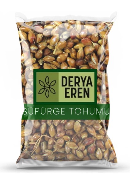 Süpürge Tohumu 100 Gr