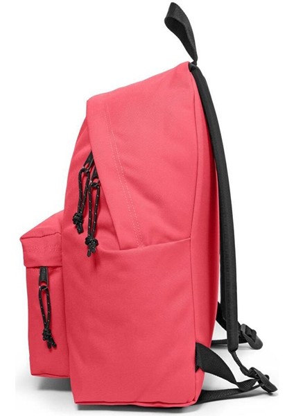Sırt Çantası Padded Pak'r Cupcake Pink EK0006207E81 indirimleri