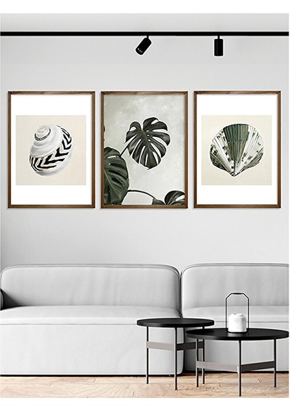 Monstera ve Deniz Kabukları 21X30 cm Ceviz