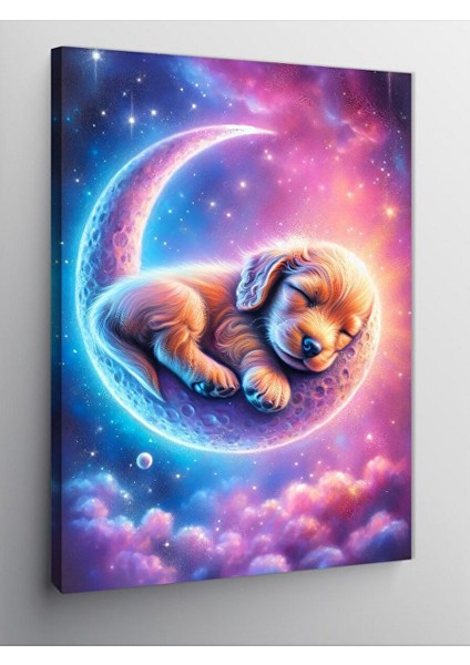Kanvas Tablo Ayda Uyuyan Köpek