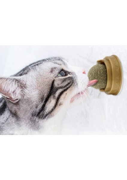 Kedi Nanesi Oyun Topu - MRK3719-7477 modelleri