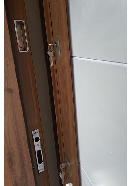 Çelik Kapı Modelleri Model Tırnaklı Sistem Çelik Kapı, Ahşap Kaplamalı Antrasit Düz Sağ indirimleri