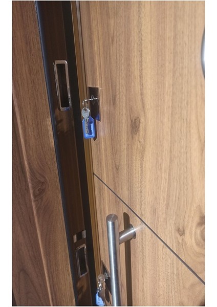 Çelik Kapı Modelleri Ahşap Kaplama Kasalı Düz Model Daire Kapısı, Çelik Kapı Sol Açılım fiyatları