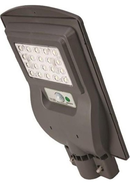 CT-4690 30W Solar Sokak Armütürü