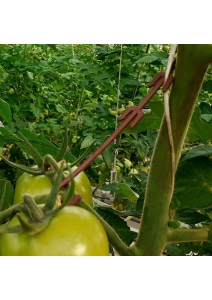 Salkım Tutucu J Baston 500 Adet - Bsr Garden