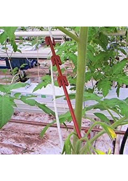 Salkım Tutucu J Baston 500 Adet - Bsr Garden fiyatları