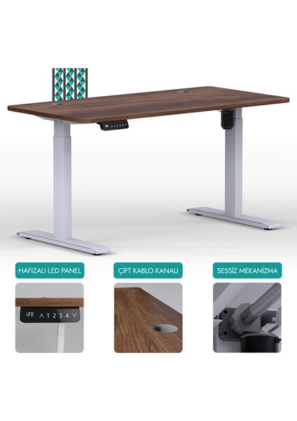 O-Flex Tek Motorlu Elektrikli Yükseklik Ayarlı Masa - 180X80 - Barok