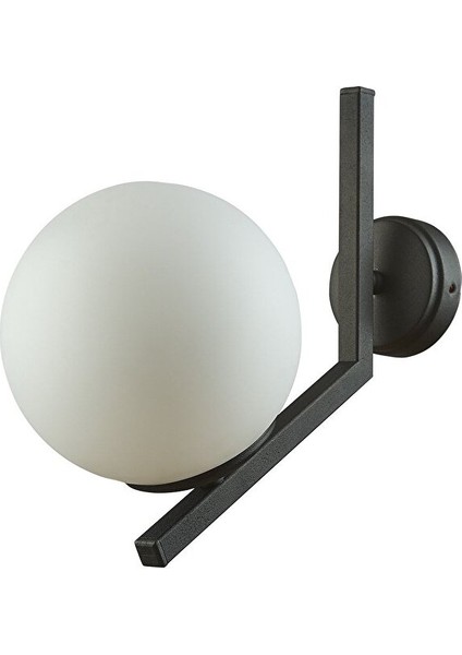 Tanya Modern Tasarım Kapalı Globe Camlı Aplik
