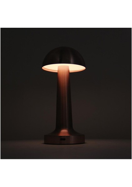 USB Şarjli Masa Lambasi Krom fiyatları