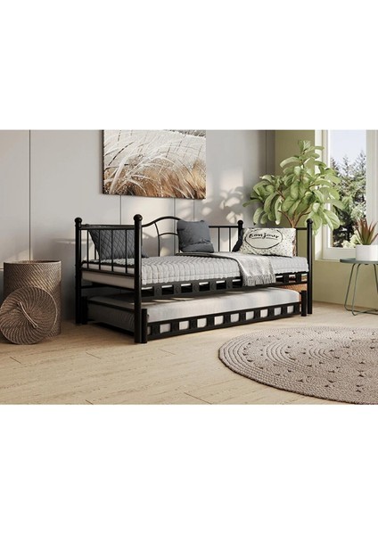 Kamelya Yavrulu Daybed Sedir Karyola Siyah 90X200