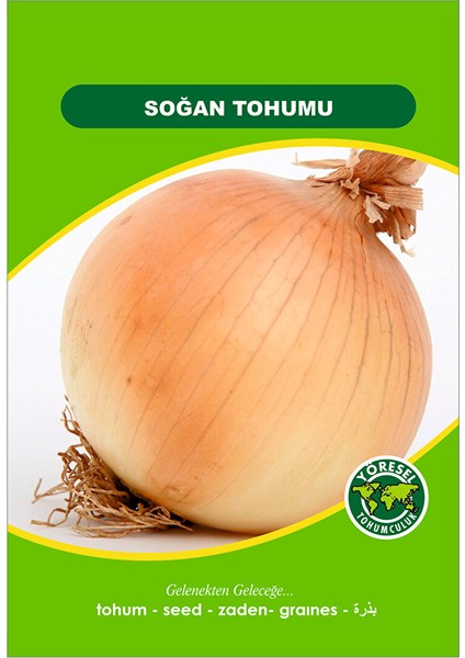 Soğan