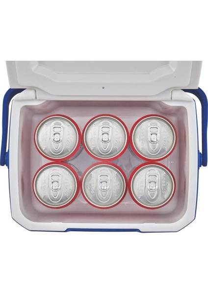 Performance Cooler 6 Personal 5 Qt 4.7 Lt Buzluk fiyatları