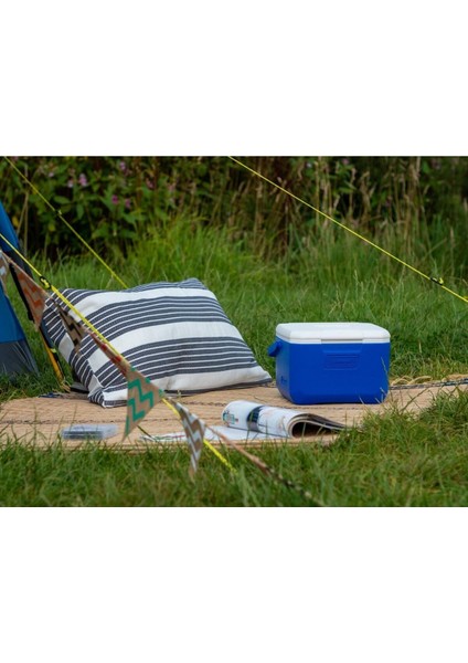 Performance Cooler 6 Personal 5 Qt 4.7 Lt Buzluk fırsatları