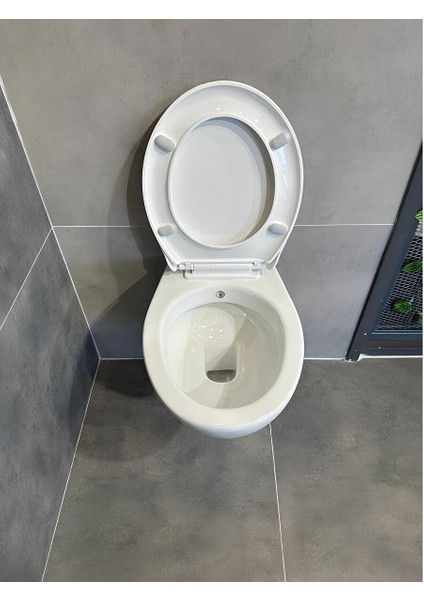 Lila Kanallı Asma Klozet + Yavaş Kapanan Kapak
