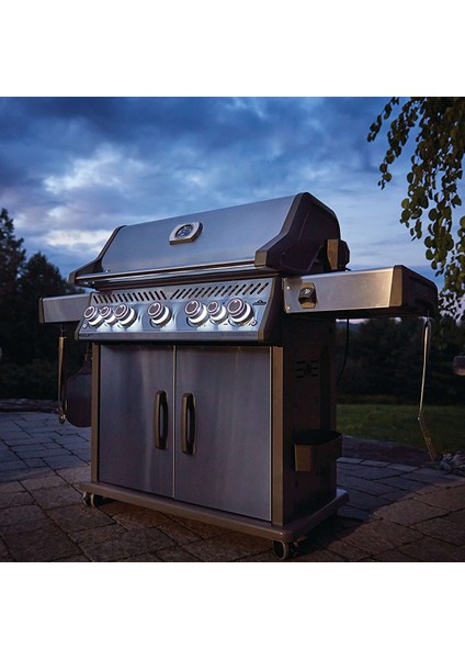 Rogue Se 625 Rsib Gazlı Barbekü | Gazlı Mangal