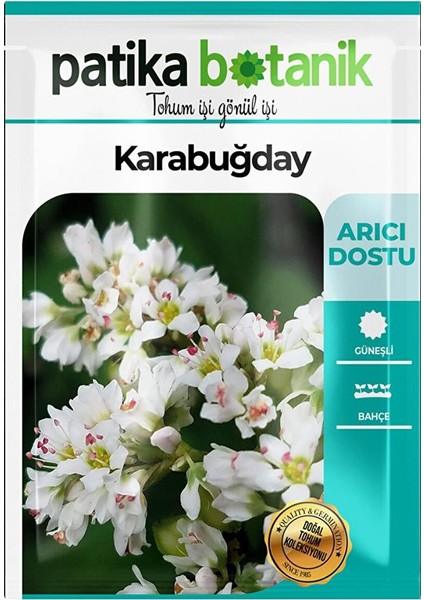 100 Adet Karabuğday Tohumu