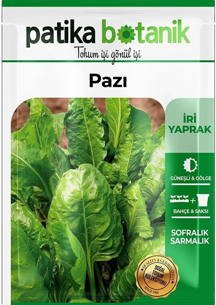 500 Adet Geniş Yaprak Pazı Tohumu