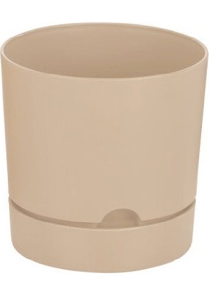 Begonya Saksi 21 cm Krem