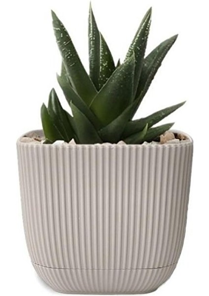 KRS-383 Dekoratif Plastik Mercan Kare Saksı 1.8 Litre No 3 Bej
