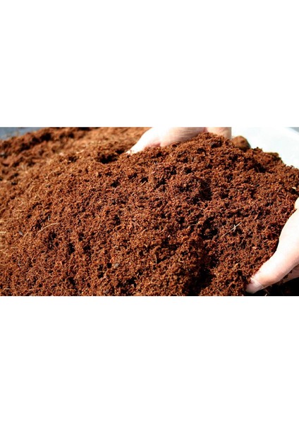 10 Lt Cocopeat-Hindistan Cevizi Torfu