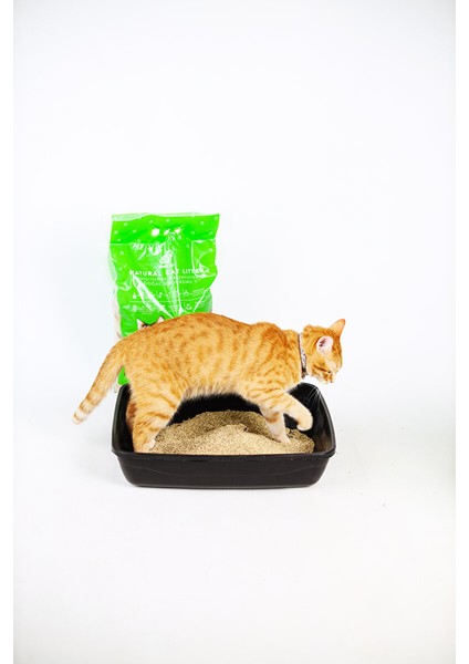 Mısır Koçanından Doğal Topaklanan Tozsuz Kedi Kumu 10LT fırsatları