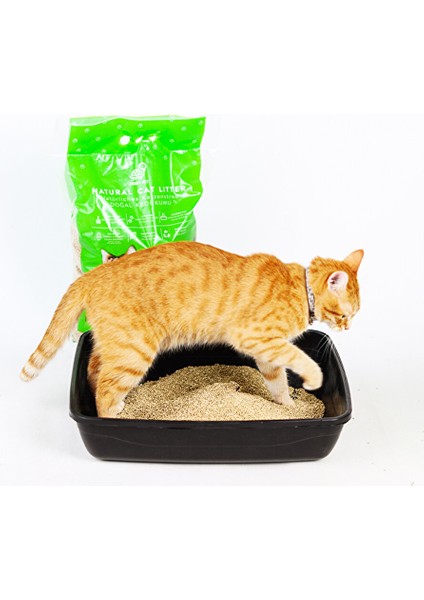 Mısır Koçanından Doğal Topaklanan Tozsuz Kedi Kumu 20LT modelleri