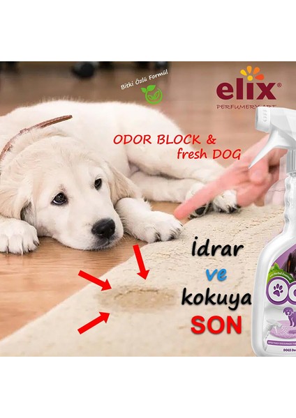 Bitki Özlü Köpek Idrar Yapma ve Koku Önleyici Sprey 500ML. modelleri