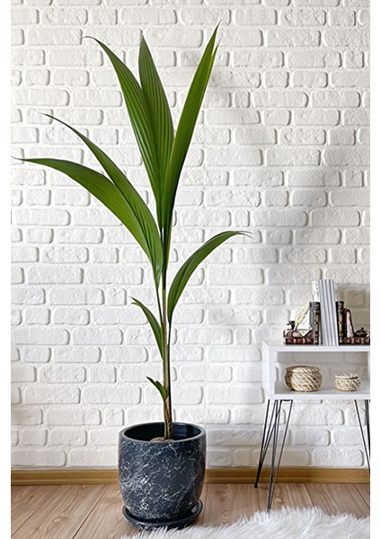 Klasik Saksı Mia Tabaklı 38 cm x 40 cm Antrasit Mermer Desenli modelleri