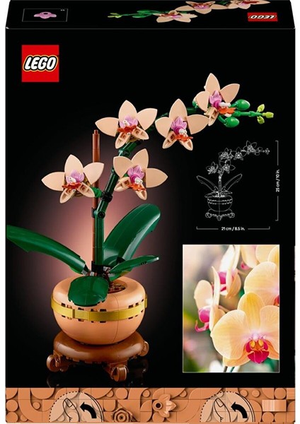 10343 Botanicals Mini Orkide fırsatları