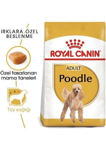 Royal Canin Poodle Adult Yetişkin Köpek Maması 3 kg