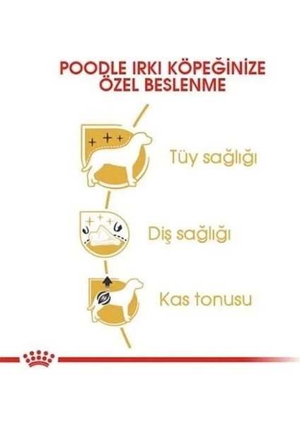 Royal Canin Poodle Adult Yetişkin Köpek Maması 3 kg fiyatları