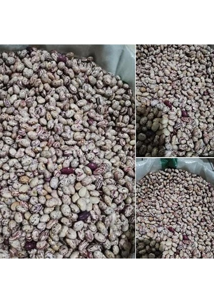 Ata Tohumu Anadolu Artvin Kara Sırık Barbunya Tohumu (10 Tohum) modelleri
