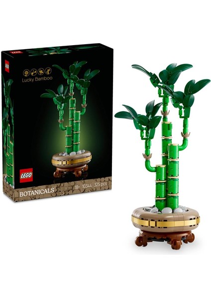 10344 Botanicals Şans Bambusu