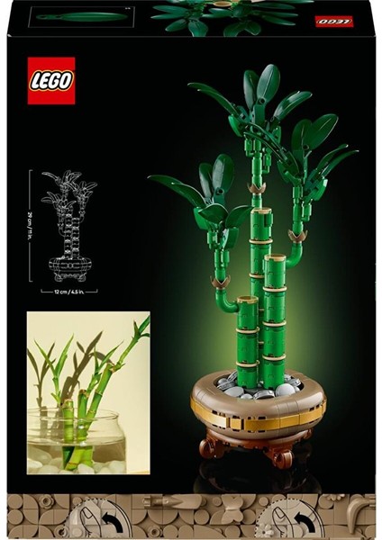 10344 Botanicals Şans Bambusu fırsatları