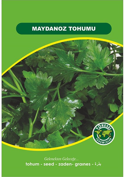 Maydanoz