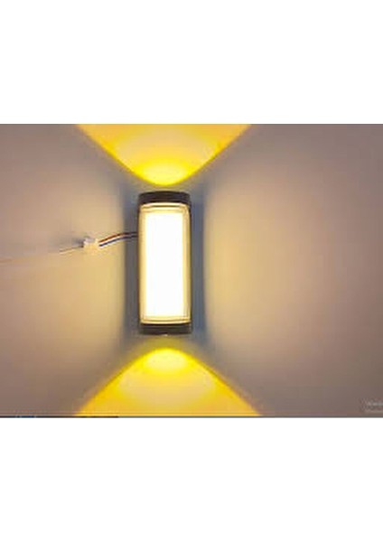 9W Lara LED Aplik CT-7079 Gün Işığı
