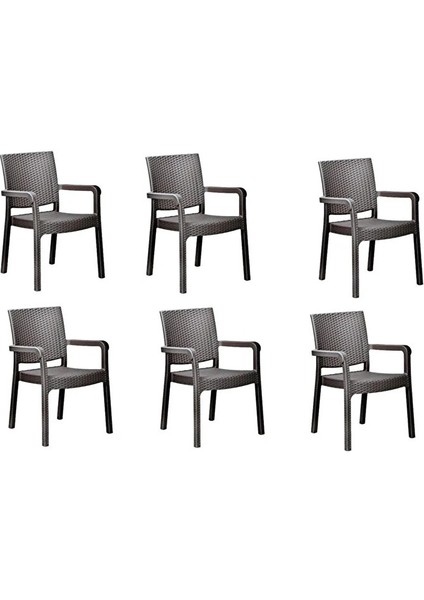 Troya Rattan Koltuk Kahverengi Rattan Efektli Sandalye 6 Adet Sandalye HT06