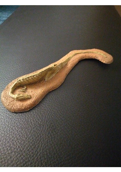 Dead Dino (Diğer Adıyla Coelofiz Mezar Mezarları) (Sadece Plastik Aparattır!!!) 3D fiyatları