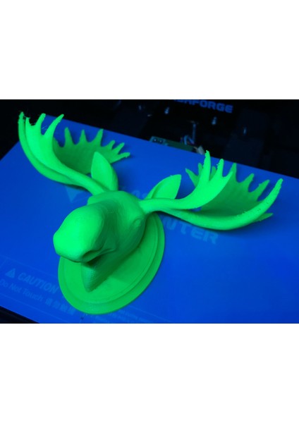 Moose Head Plaket (Sadece Plastik Aparattır!!!) 3D fiyatları