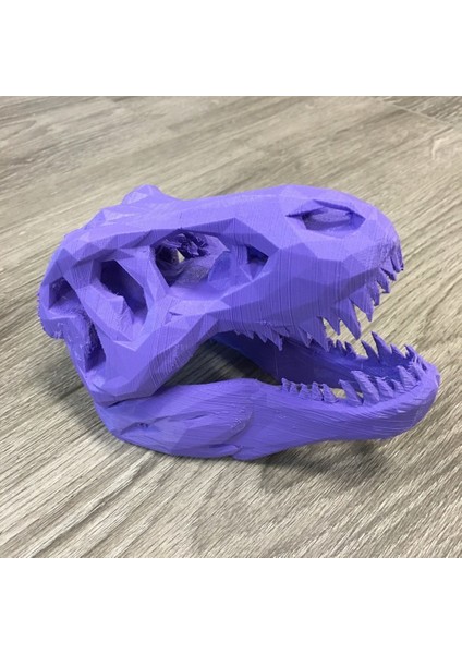 Düşük Poli T-Rex Kafatası (Sadece Plastik Aparattır!!!) 3D