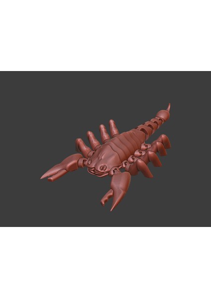 Eklemli Akrep! (Sadece Plastik Aparattır!!!) 3D