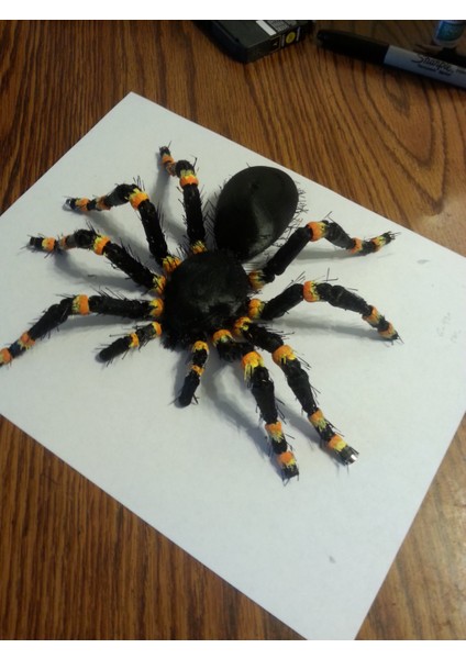 Tüylü Tarantula (Buzdolabı Mıknatıs) (Sadece Plastik Aparattır!!!) 3D modelleri