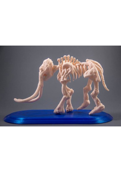 Mamut Fosil (Sadece Plastik Aparattır!!!) 3D