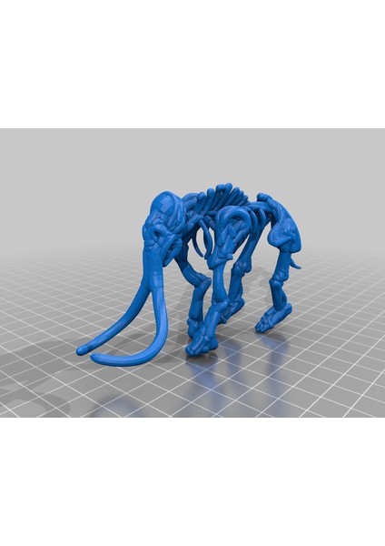 Mamut Fosil (Sadece Plastik Aparattır!!!) 3D modelleri