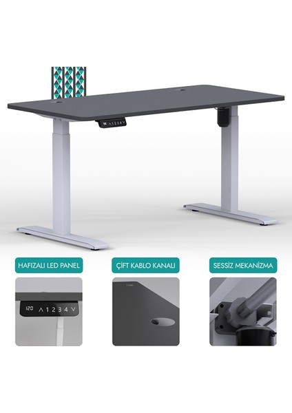 O-Flex Tek Motorlu Elektrikli Yükseklik Ayarlı Masa - 180X80 - Antrasit