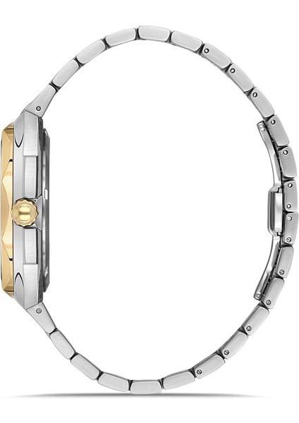 RMS.1.AG1619.05 Erkek Kol Saati fiyatları